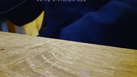 Snapshot of gullu8979 chatting on 18, 9, 2025 Franky online show from 18, 9, 2025