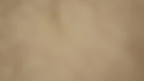 gush353363 online show from 18, 1, 2026