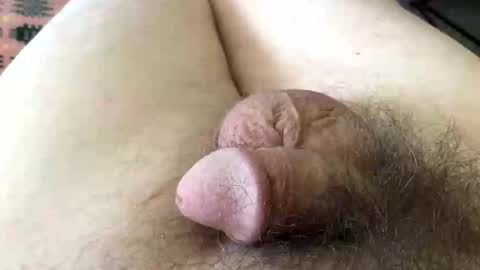 guttersnipe71 online show from 1, 4, 2026