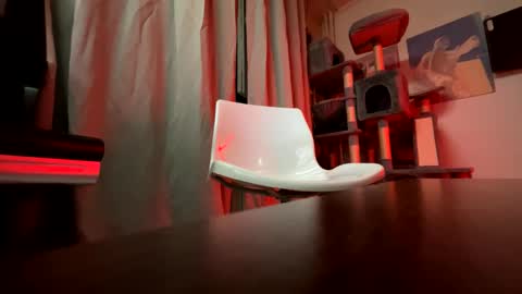 haildave6 online show from 26, 4, 2026