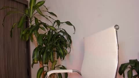 Hailey online show from 1, 10, 2025