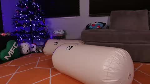 Snapshot of hailwilds chatting on 20, 12, 2024 HailWilds online show from 20, 12, 2024