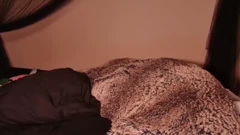 Snapshot of hailwilds chatting on 1, 3, 2025 HailWilds online show from 1, 3, 2025