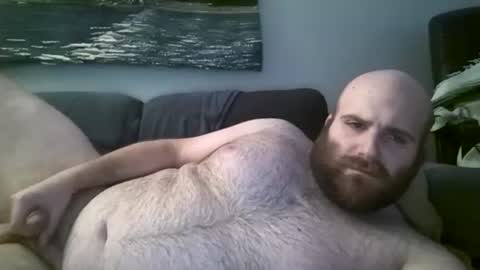 Hairiest Bear online show from 5, 12, 2024