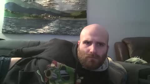 Hairiest Bear online show from 21, 12, 2024