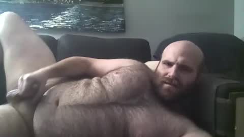 Hairiest Bear online show from 20, 1, 2025