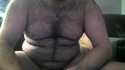 Hairiest Bear online show from 8, 2, 2025
