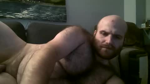 Hairiest Bear online show from 2, 3, 2025