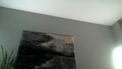 Hairiest Bear online show from 15, 11, 2025