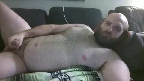 Hairiest Bear online show from 22, 2, 2026