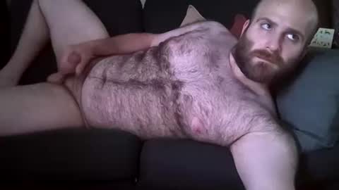 Hairiest Bear online show from 9, 6, 2026