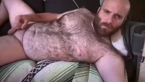 Hairiest Bear online show from 8, 7, 2026