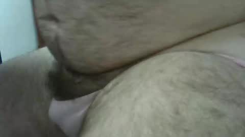 hairybeary1 online show from 27, 12, 2024