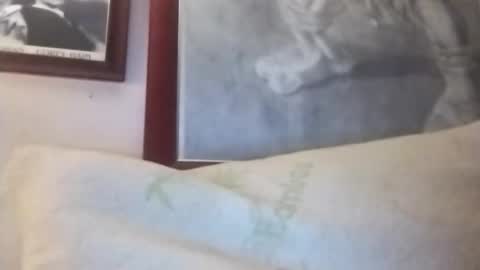 Marty online show from 13, 1, 2026