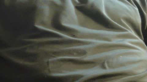 Snapshot of hamhead71 chatting on 8, 12, 2024 hamhead71 online show from 8, 12, 2024