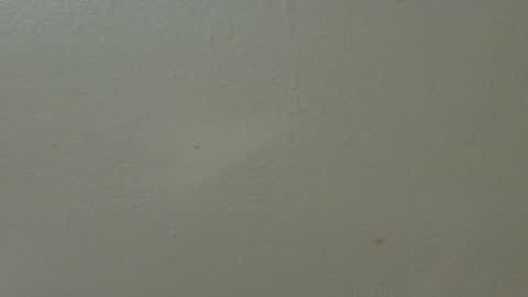 Snapshot of hamhead71 chatting on 7, 2, 2025 hamhead71 online show from 7, 2, 2025