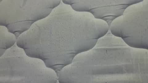 Snapshot of hamhead71 chatting on 15, 4, 2026 hamhead71 online show from 15, 4, 2026