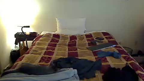 hammerthatthang73 online show from 6, 11, 2025