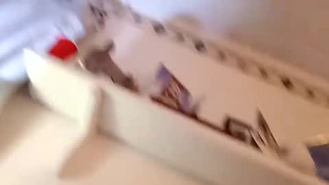 hand69someguy online show from 2, 3, 2025