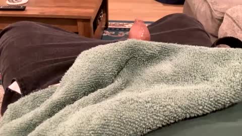 handhugger online show from 27, 12, 2024