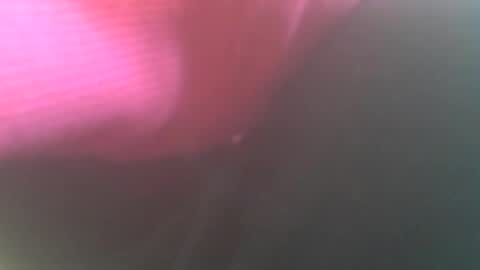 Snapshot of hannes_k chatting on 26, 12, 2024 hannes_k online show from 26, 12, 2024