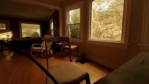 Tom online show from 20, 10, 2025