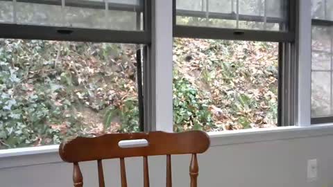 hardworkertn online show from 8, 2, 2025