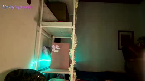 900 am to 300 pm - GTM 5 Weekdays online show from 28, 11, 2025