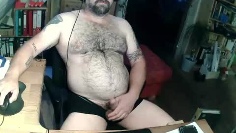 Snapshot of harleywerner chatting on 14, 7, 2026 harleywerner online show from 14, 7, 2026