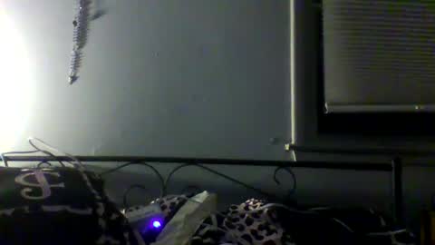 Snapshot of harleywestinc chatting on 29, 3, 2026 harleywestinc online show from 29, 3, 2026