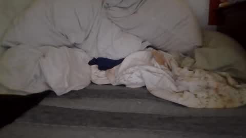 Snapshot of harry1cannary chatting on 7, 10, 2025 harry1cannary online show from 7, 10, 2025