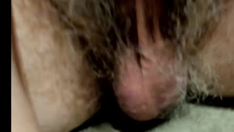 harry_banana online show from 1, 2, 2025