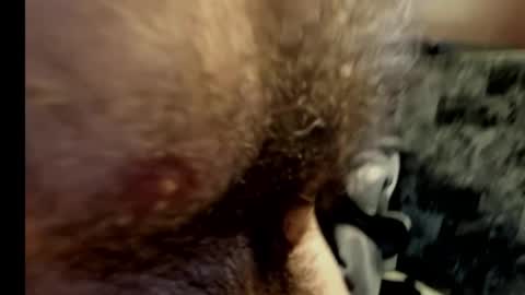 harry_banana online show from 10, 2, 2025