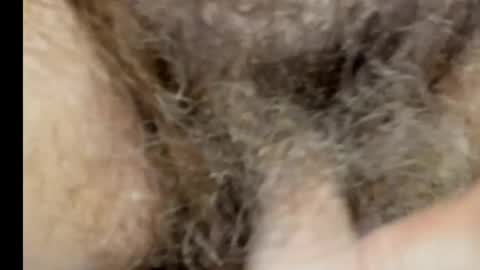 harry_banana online show from 7, 3, 2025