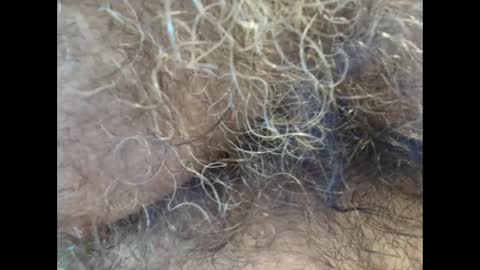 harry_banana online show from 11, 9, 2025