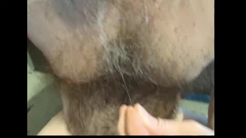 harry_banana online show from 27, 2, 2026