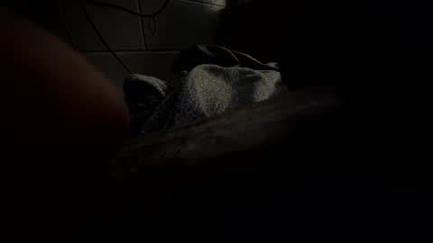 Snapshot of hartwell84 chatting on 23, 1, 2025 J Hart online show from 23, 1, 2025