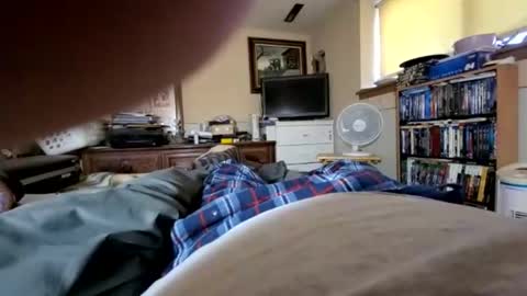 hawkfan1888 online show from 2, 1, 2025