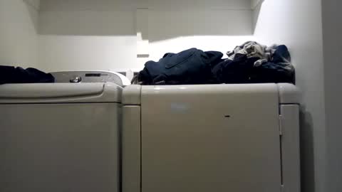 hdrsh08 online show from 7, 12, 2024