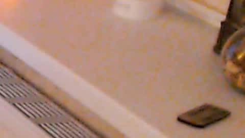 Heaven girl online show from 4, 1, 2025