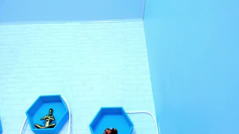    online show from 13, 12, 2024