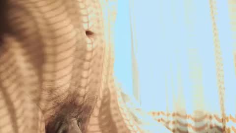 Helio online show from 3, 2, 2026