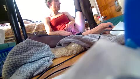 Roxanne online show from 5, 3, 2025