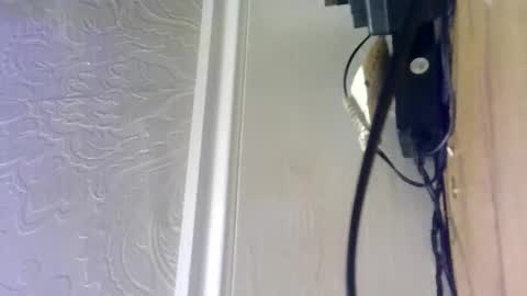 hellobunbunx0 online show from 27, 12, 2024