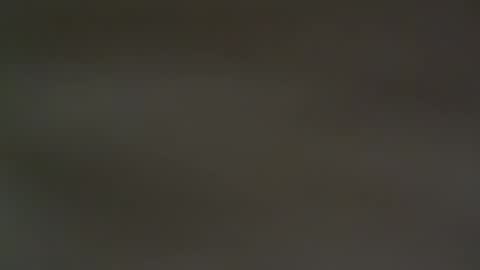 hellohowareyou66 online show from 13, 2, 2025