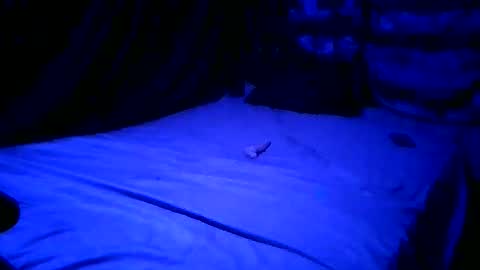 SissyNutsBustedCounter online show from 23, 4, 2026