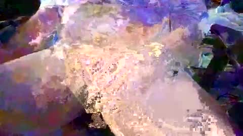 herletigre12345 online show from 26, 10, 2025