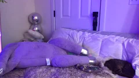 FlexieFae online show from 9, 2, 2025