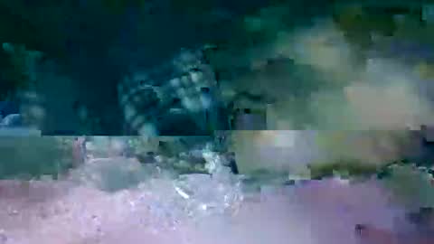 Snapshot of hi_life850 chatting on 17, 2, 2026 MR. Bation online show from 17, 2, 2026