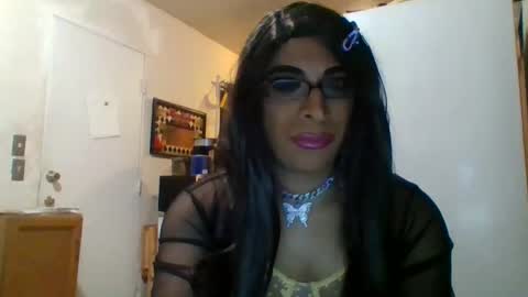 Snapshot of hihheelstranny chatting on 16, 2, 2026 hihheelstranny online show from 16, 2, 2026